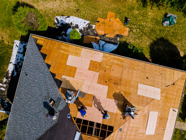 Best Storm Damage Roof Repair  in Gainesville, TX